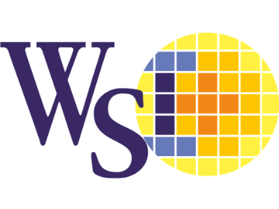 The WISECHIP company logo.